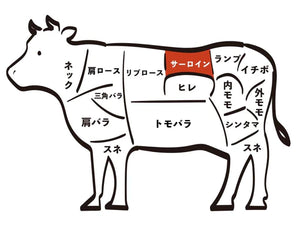 部位の特徴