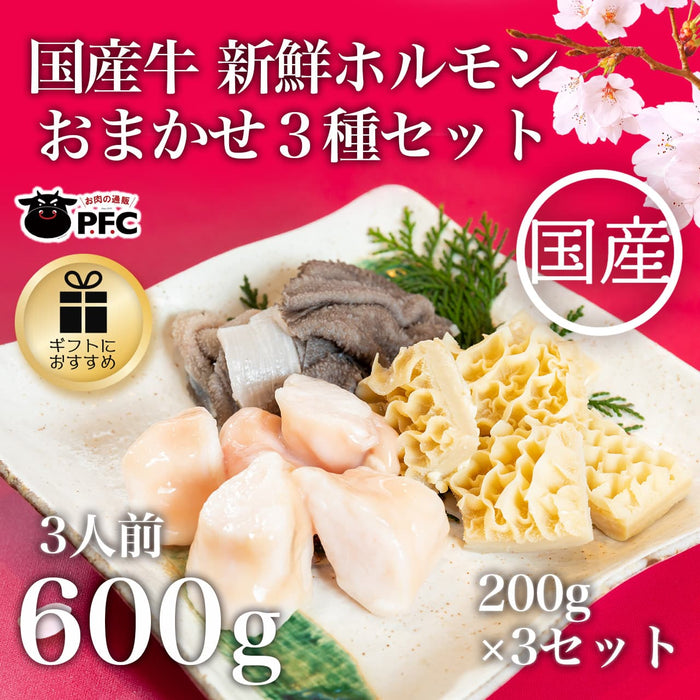 【国産】牛 新鮮ホルモン おまかせ３種セット(200g×3）(２～３人前)