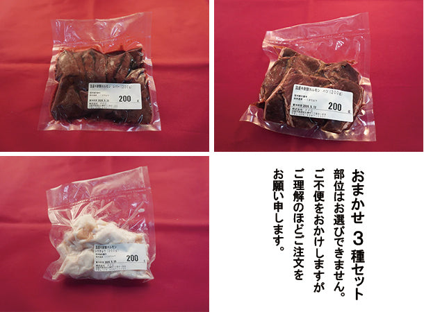 国産牛 新鮮ホルモン おまかせ３種セット(200g×3）(２～３人前)