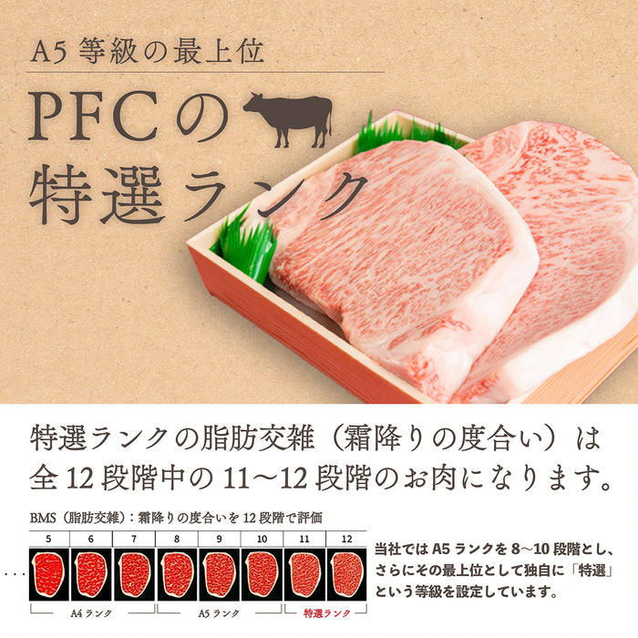 【送料無料】国産 黒毛和牛 A5等級カルビ焼肉用（500g）(２～３人前)