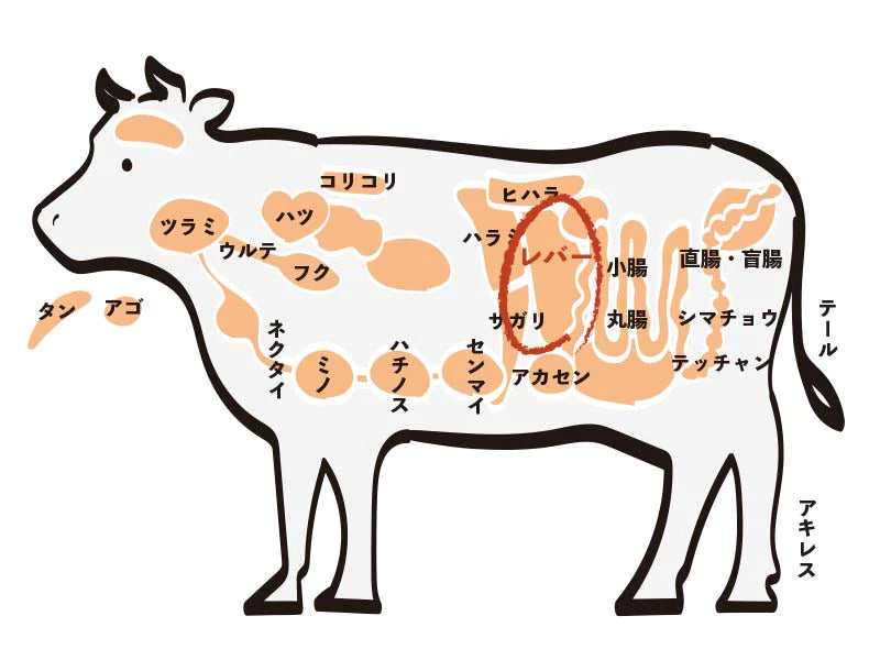 国産牛 新鮮ホルモン レバー（200g）(１～２人前)