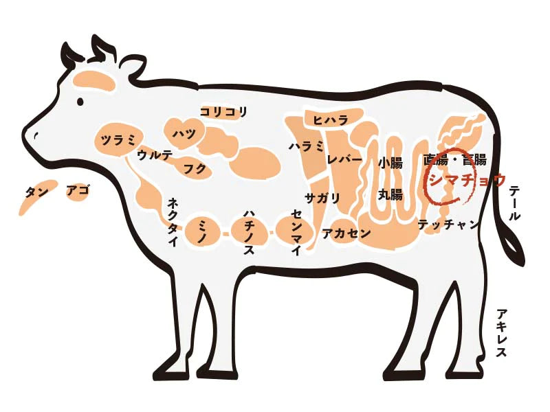 国産牛 新鮮ホルモン シマチョウ（200g）(１～２人前)