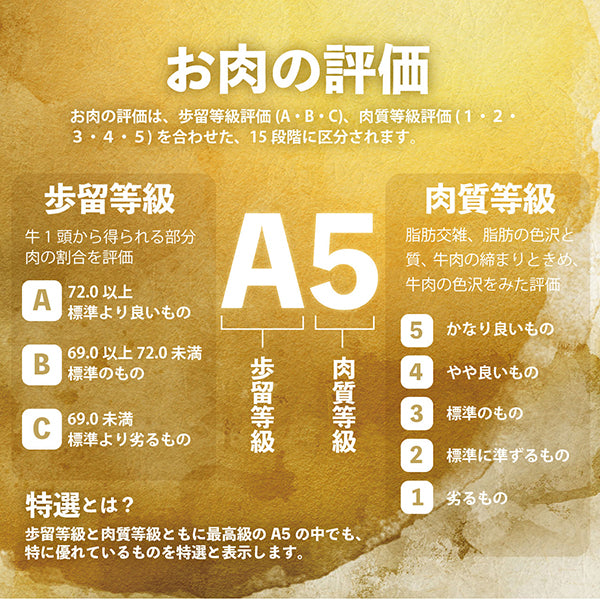 国産 黒毛和牛 A5等級牛次郎 希少部位 カイノミ 塊肉（500g）(２人前)