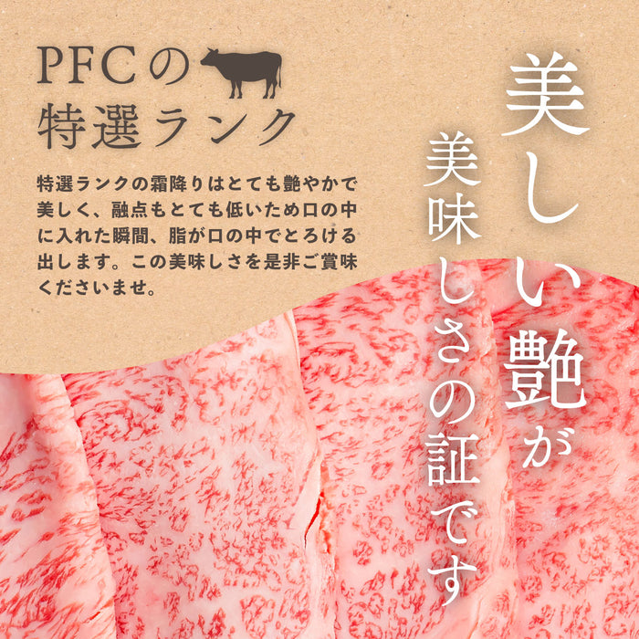 【送料無料】国産 黒毛和牛 特選ランク厚切りサーロインステーキ（500g×1）(１～２人前)